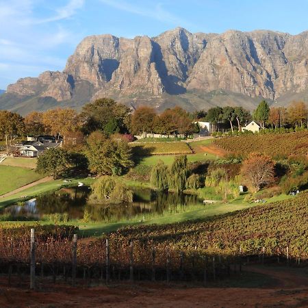 Alluvia Boutique Winery & Luxury Accommodation Στέλενμπος Εξωτερικό φωτογραφία The Paarl Mountain Range