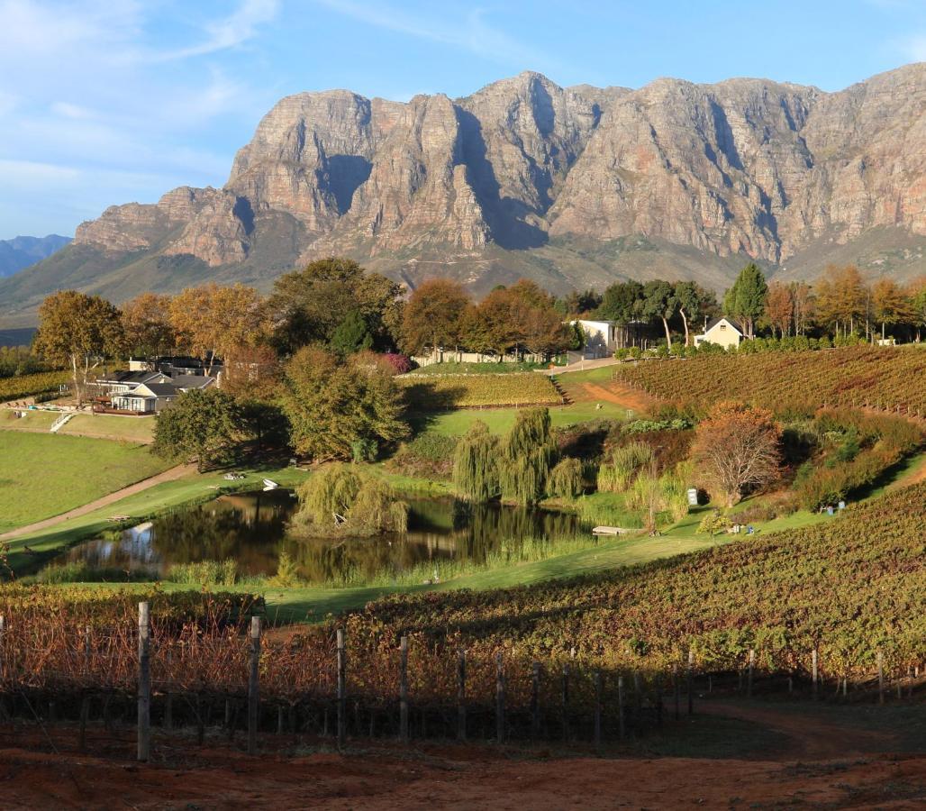 Alluvia Boutique Winery & Luxury Accommodation Στέλενμπος Εξωτερικό φωτογραφία The Paarl Mountain Range