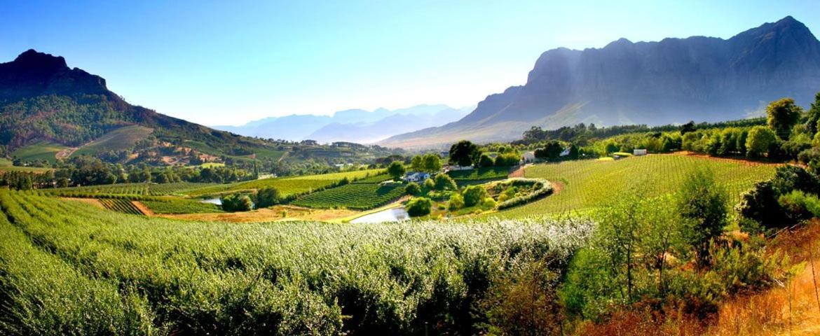 Alluvia Boutique Winery & Luxury Accommodation Στέλενμπος Εξωτερικό φωτογραφία The Paarl Wine Route