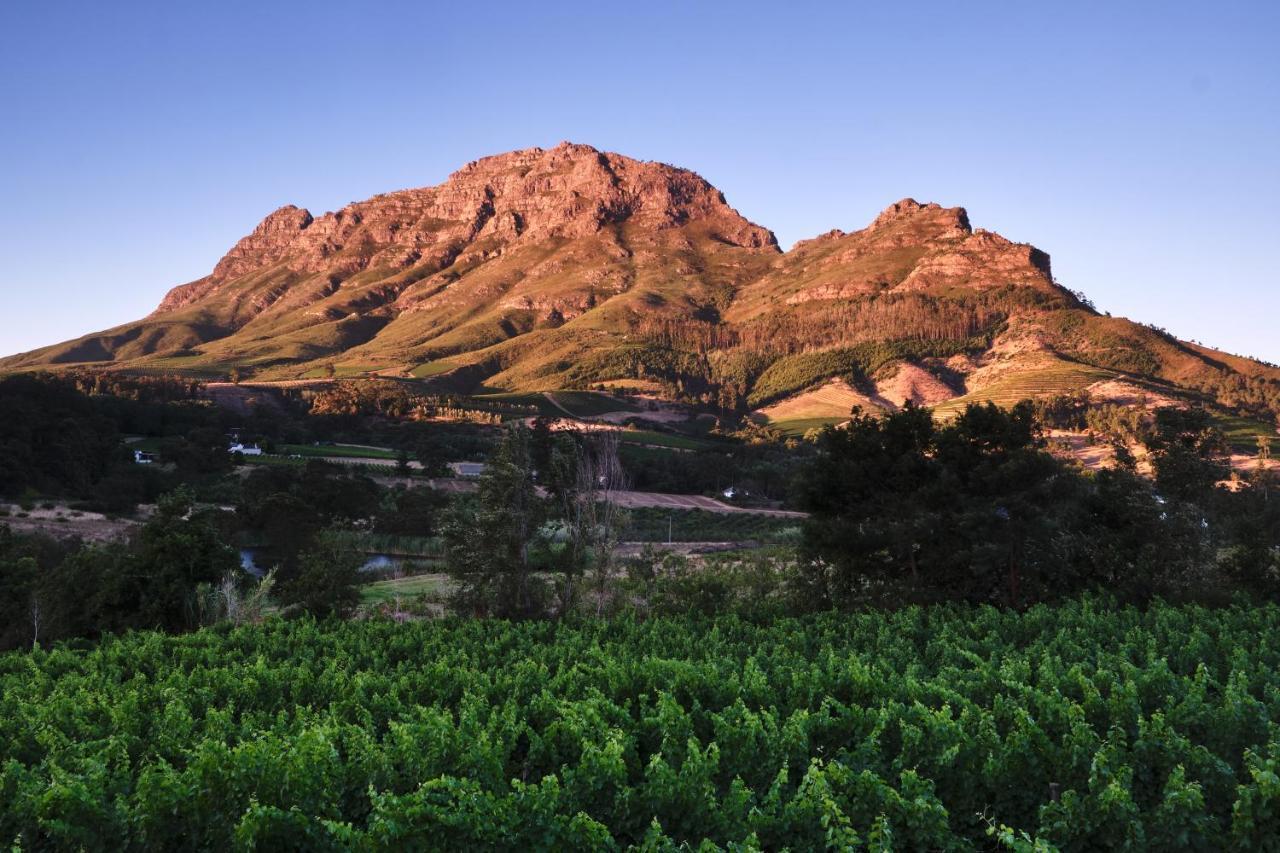 Alluvia Boutique Winery & Luxury Accommodation Στέλενμπος Εξωτερικό φωτογραφία The Paarl Mountain