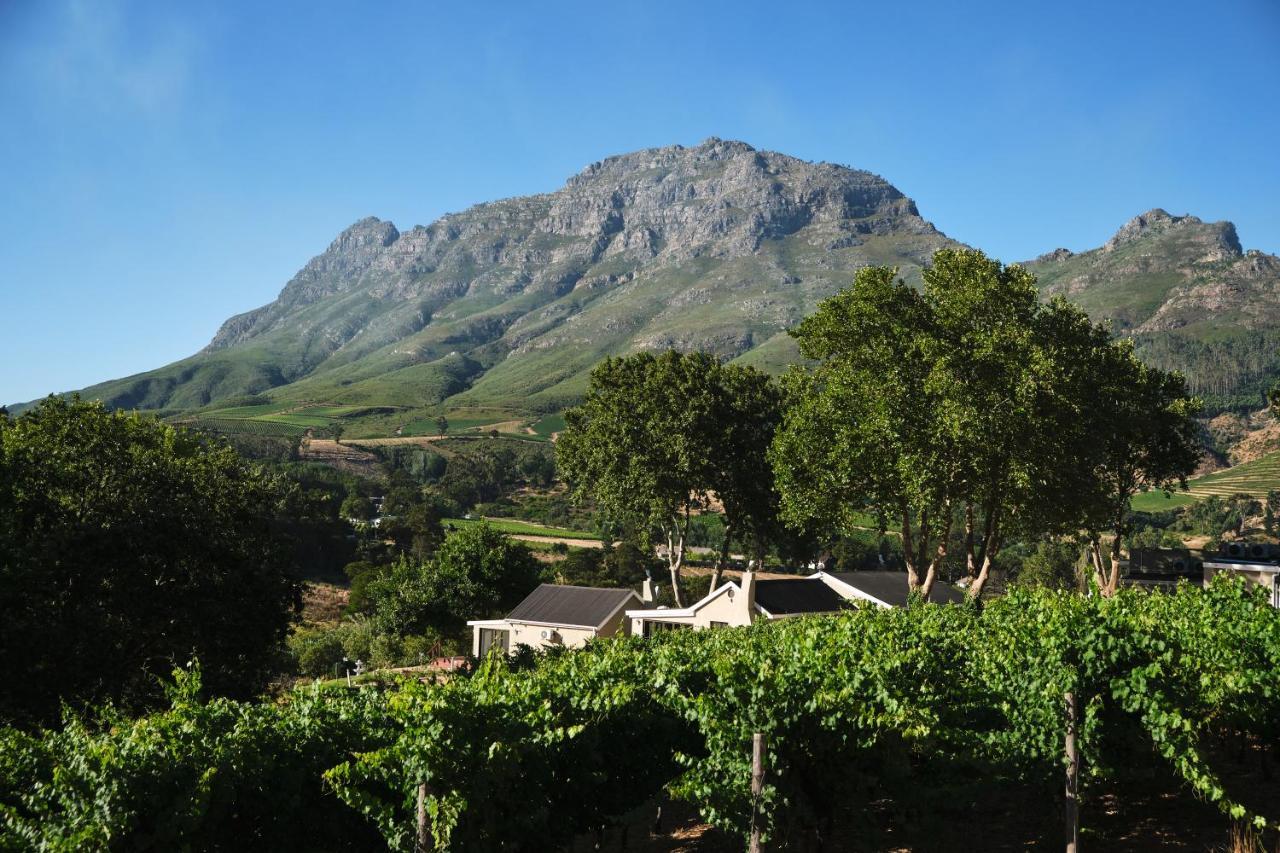 Alluvia Boutique Winery & Luxury Accommodation Στέλενμπος Εξωτερικό φωτογραφία Wine estate in Stellenbosch