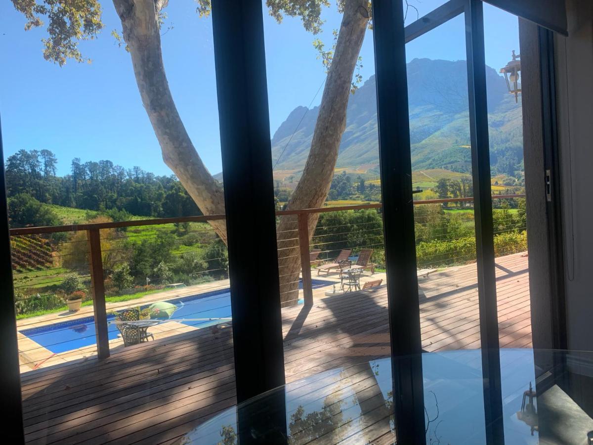 Alluvia Boutique Winery & Luxury Accommodation Στέλενμπος Δωμάτιο φωτογραφία