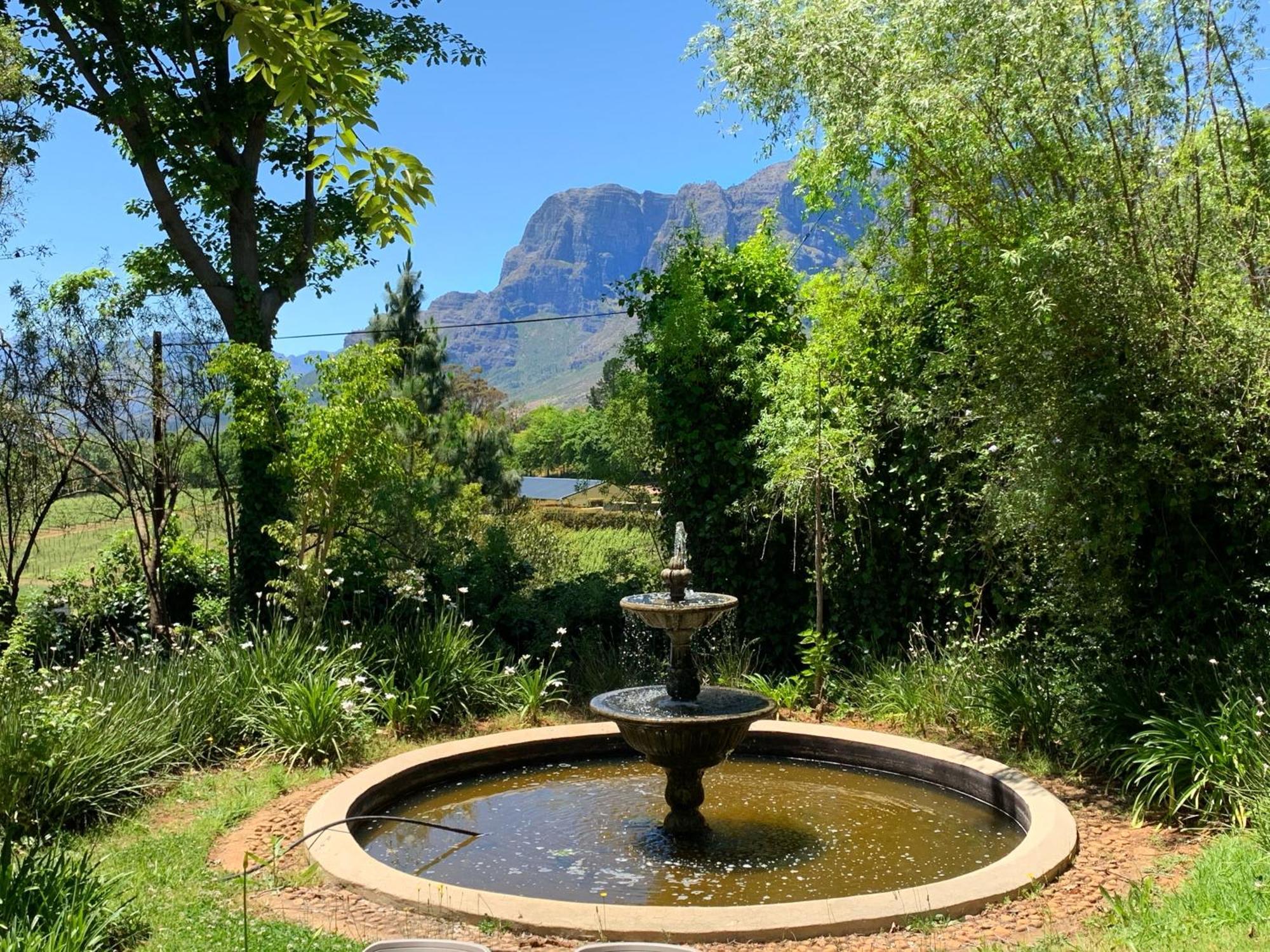 Alluvia Boutique Winery & Luxury Accommodation Στέλενμπος Δωμάτιο φωτογραφία Fountain at the entrance of the Tokai Arboretum